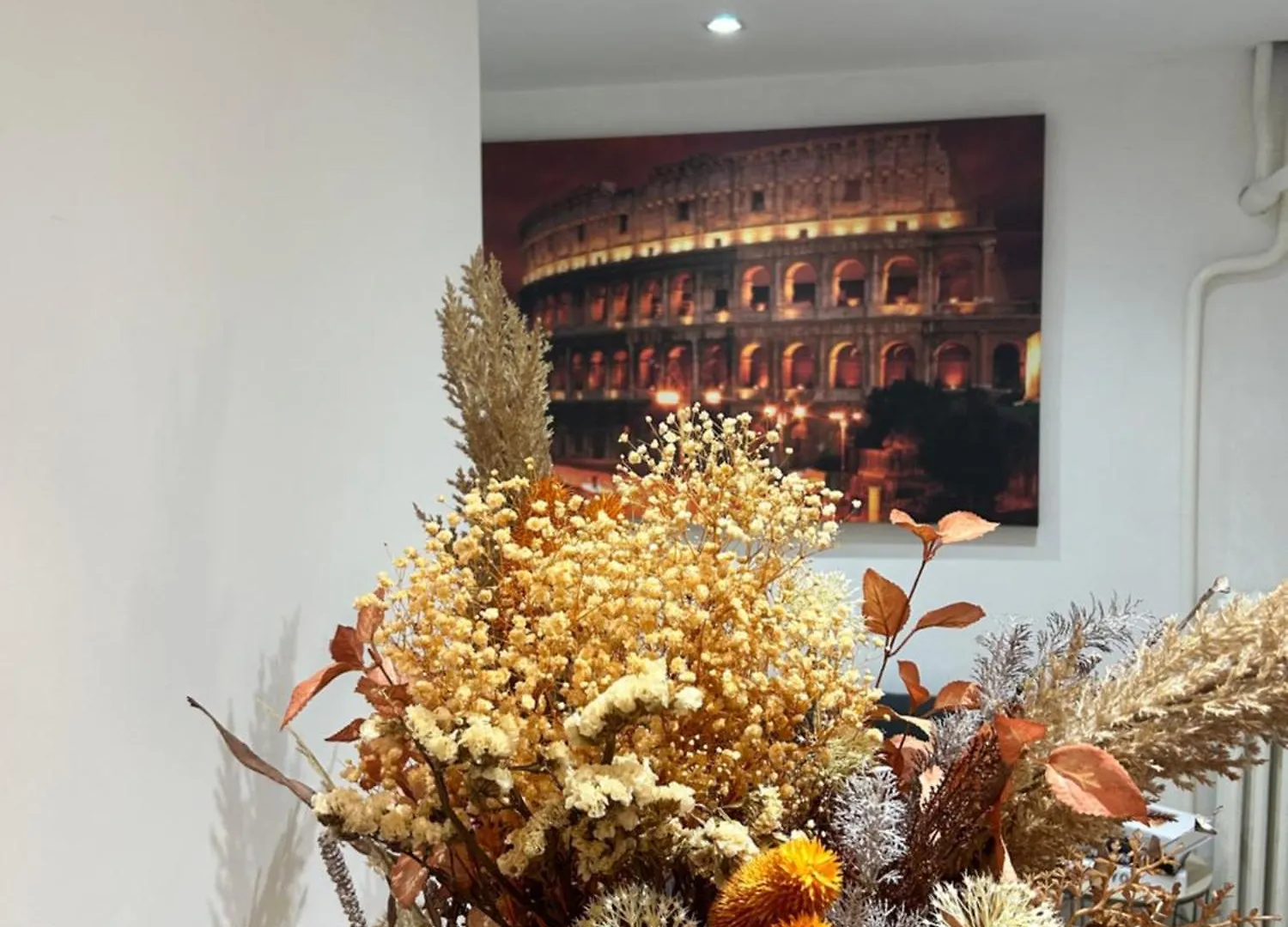 Casa Domus Mea - Garden Addicted Apartment Rome